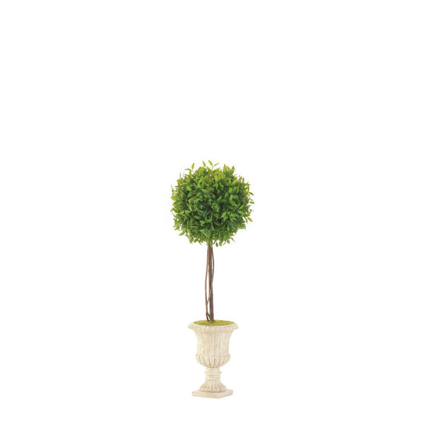 19" Topiary In White Planter