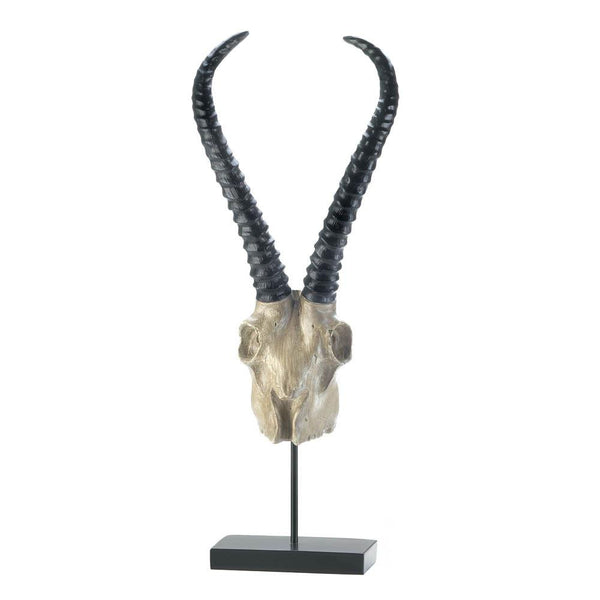 Antelope Skull Tabletop Decor