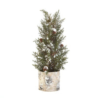 Birch Tree Pine Sprig Topiary