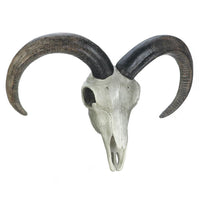 Ram Skull Wall Decor