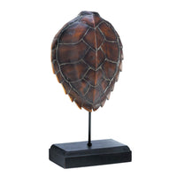 Spiny Turtle Shell Museum Decor